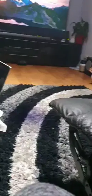 Noodle training in progress