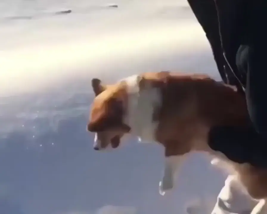 NOOO-oh..