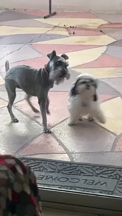 Nope, wasn’t me