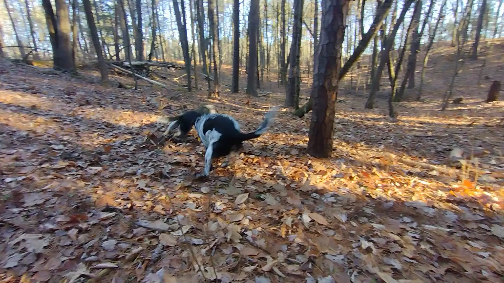 Not getting me today!! 