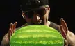 Now your melon comes to life
