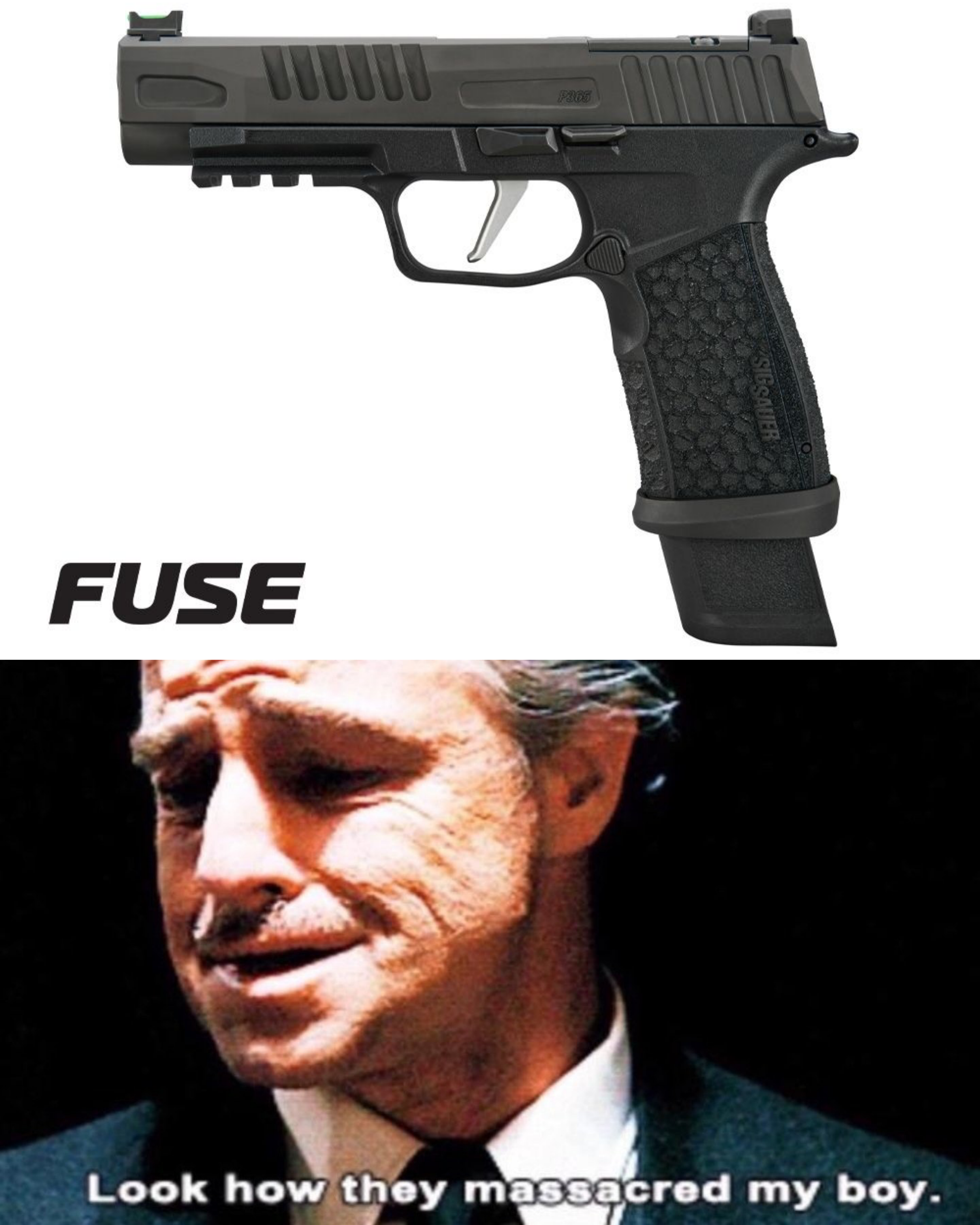 Obligatory P365 Fuse Meme | Scrolller