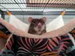 Oh hi! Didn't see ya there!