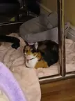 Oh no it fell on the floor