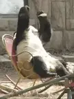 OHH God what i do