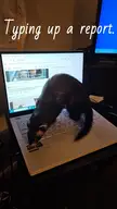 Ok, but can she type 60 WPM?
