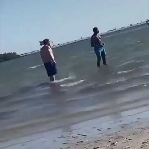 One kick knockout mess around and find out 