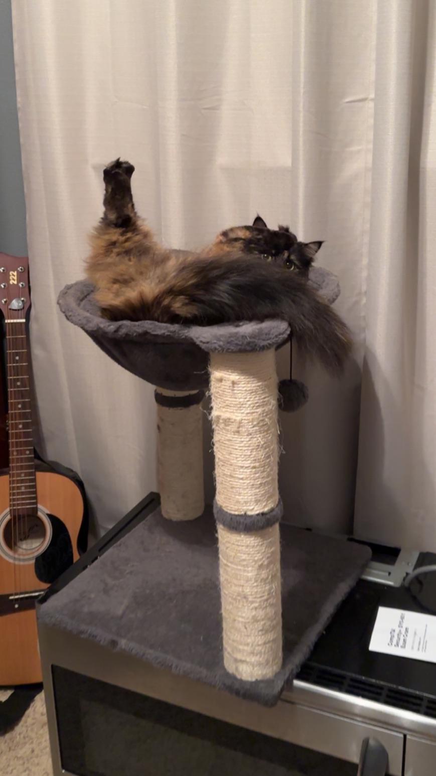 One Perfectly Vertical & One Perfectly Horizontal Foot Scrolller