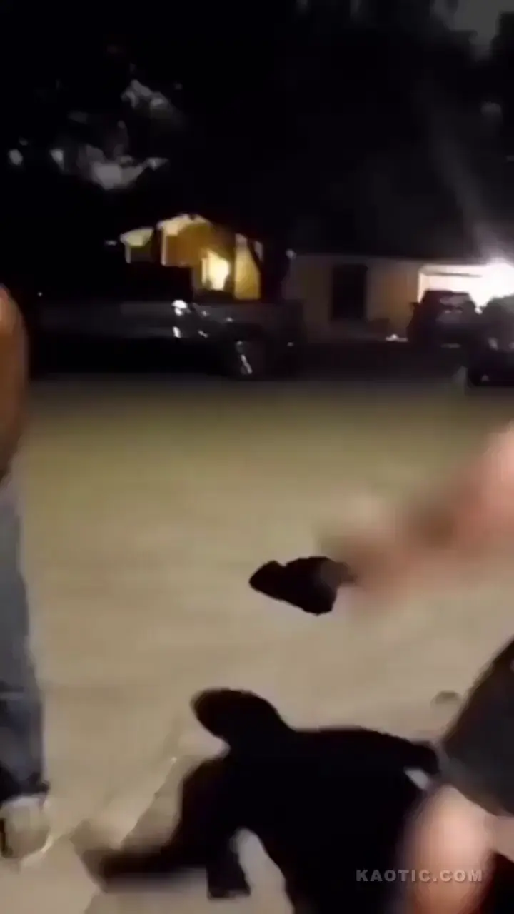 One punch knockout