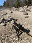 Only the biggest sticks for Sancho