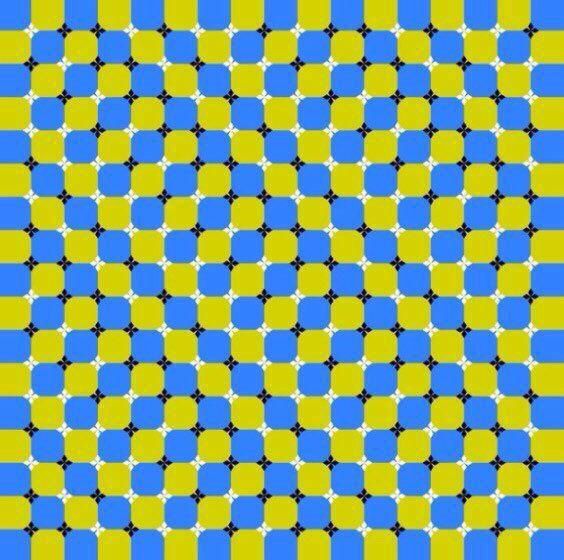 Optical illusion | Scrolller
