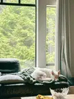 Our weekend getaway in Whistler, BC
