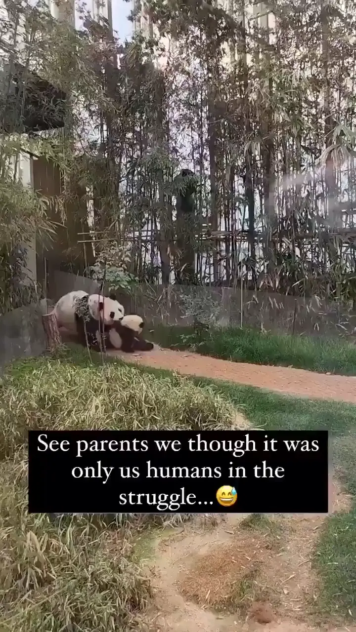 Parenthood in 27 seconds.