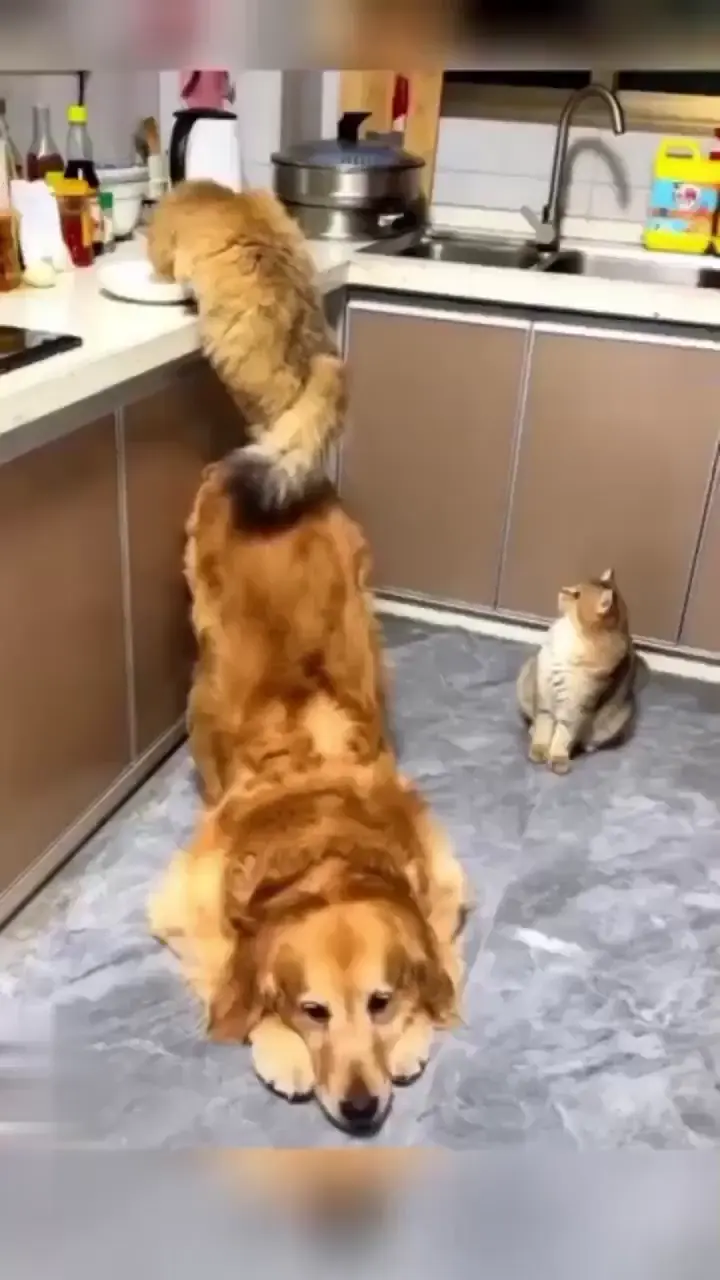 Partners in crime