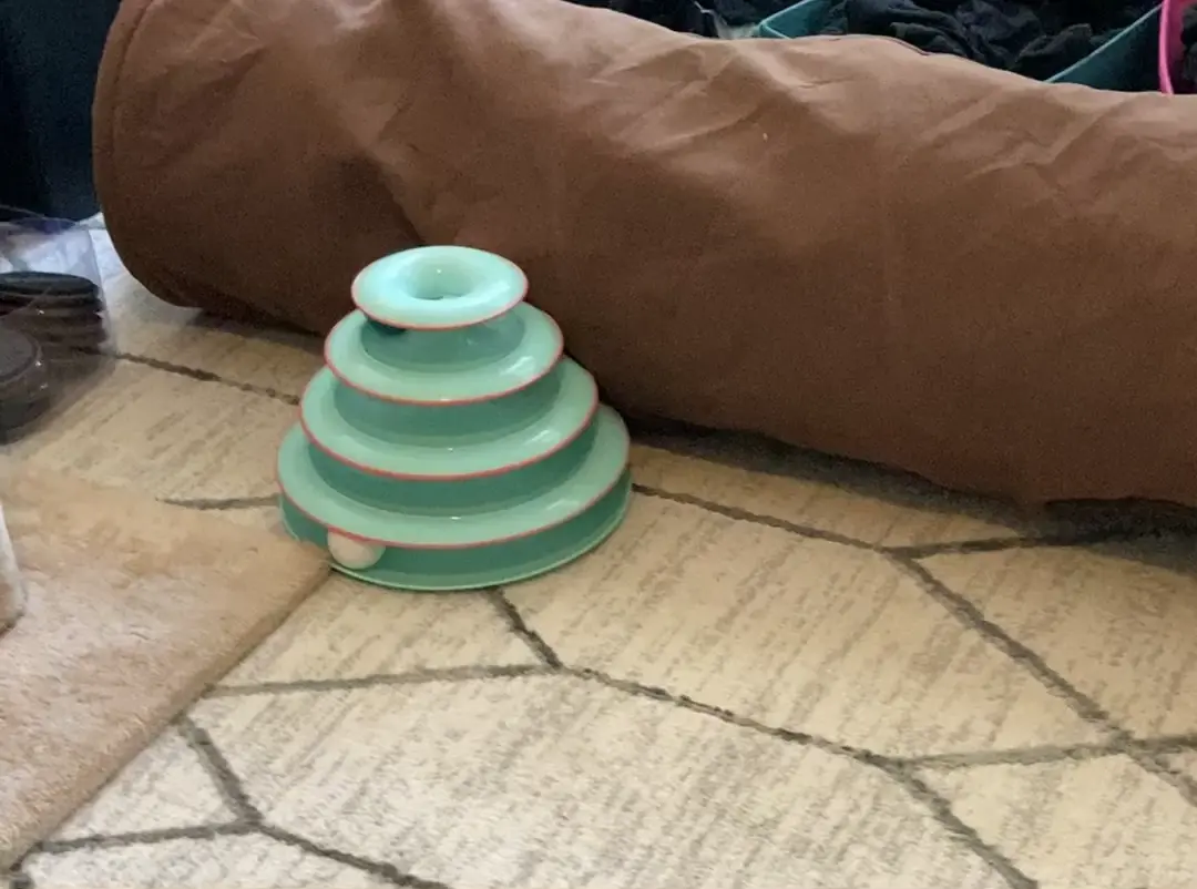 Paws from the dimension