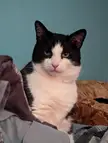 Penny waking up from her nap 
