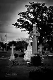 Pensacola’s Oldest Cemetery 