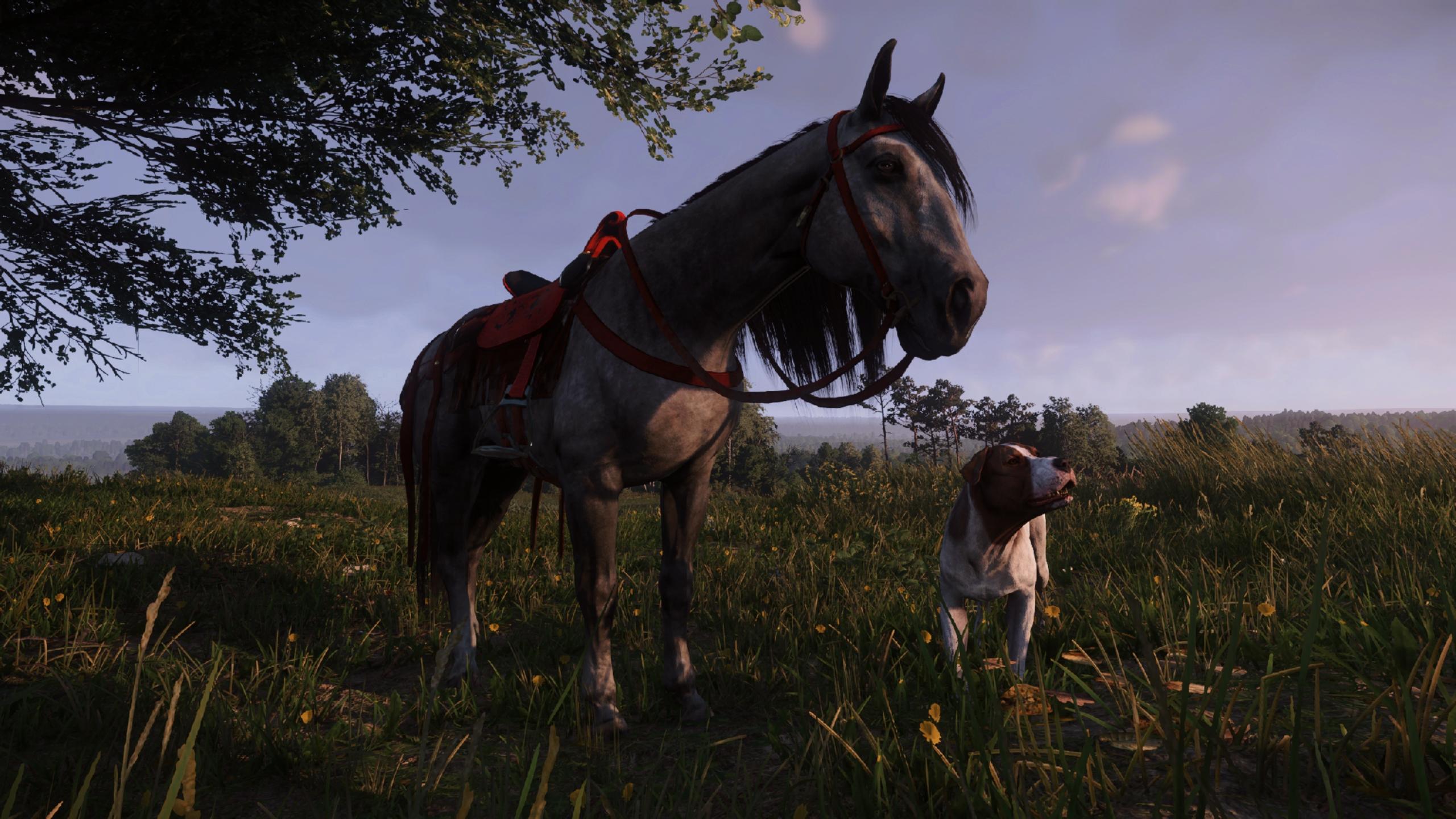 My three faces of Henry [KCD2] | Scrolller