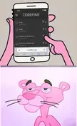 Pink Panther's to do list