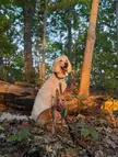 Pippin and Nugget, they fit with the fall colors