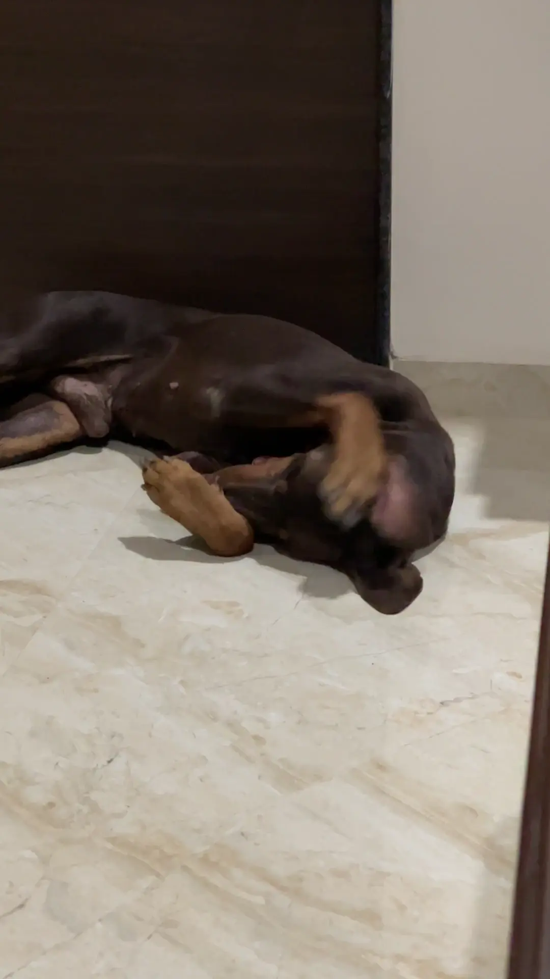 Play or something else