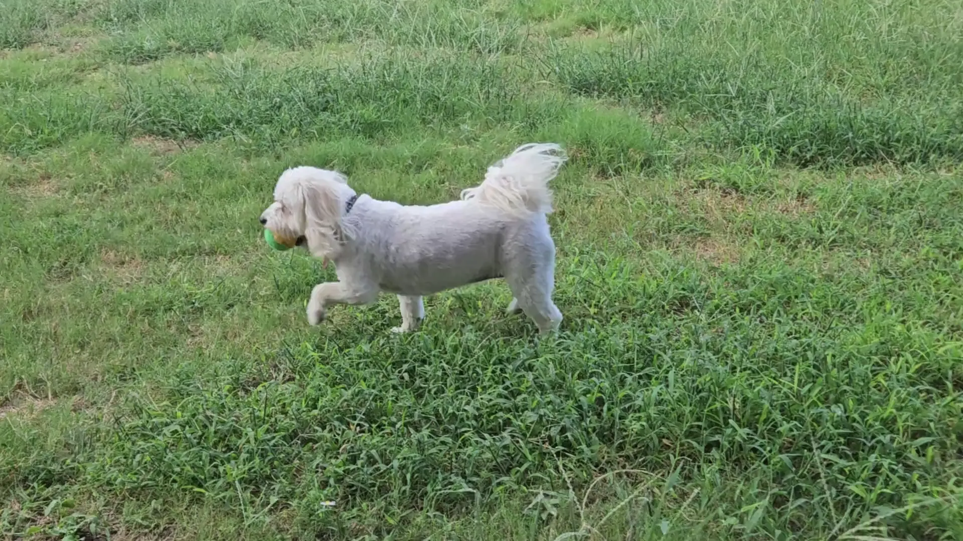 Play time after dad is off work! 😄 