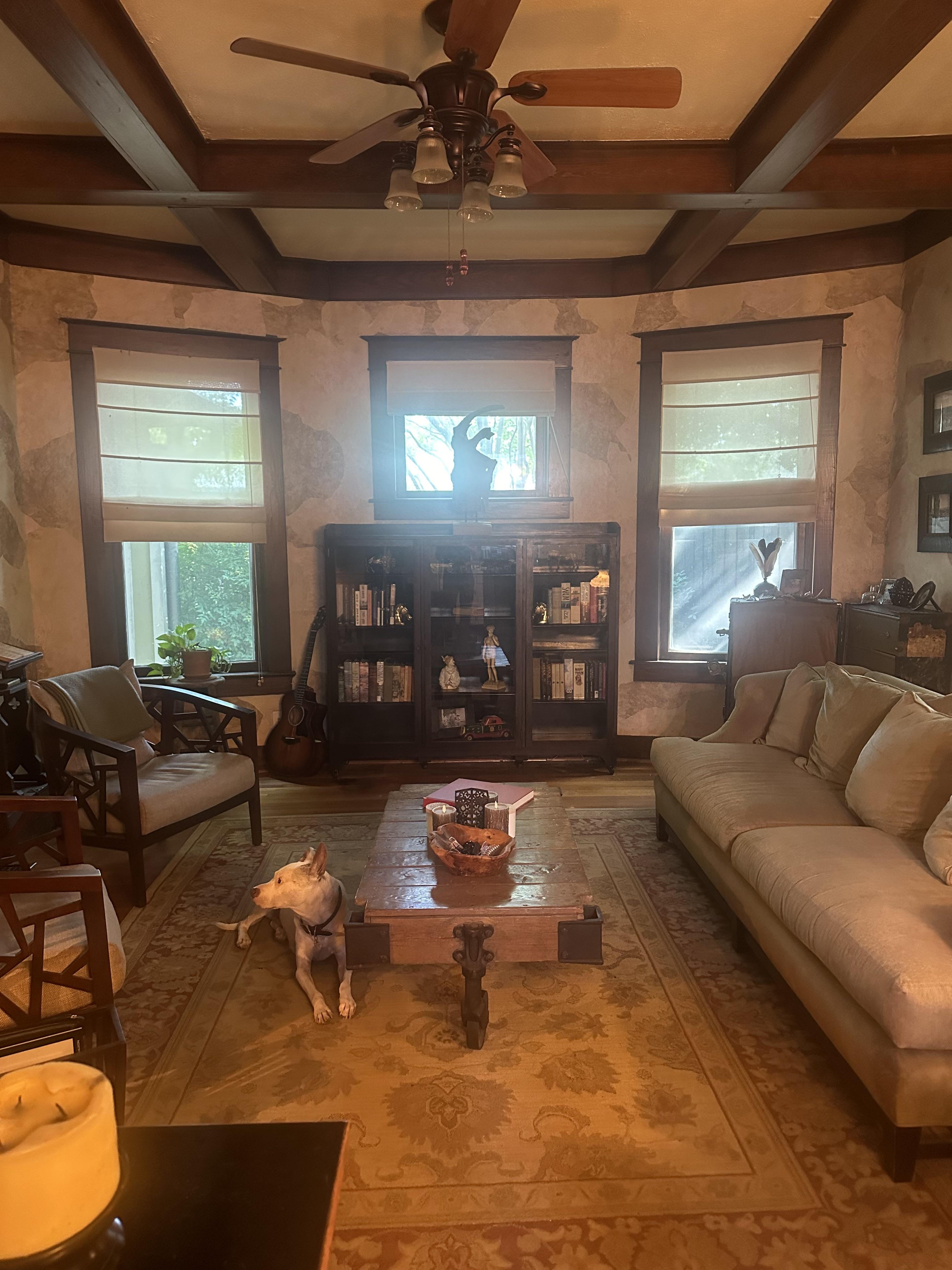 Male living space featuring a dining room, bedroom, living room, patio, sunroom, study, and a dog with oil painting art.