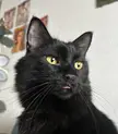 Poogie’s once in a lifetime blep