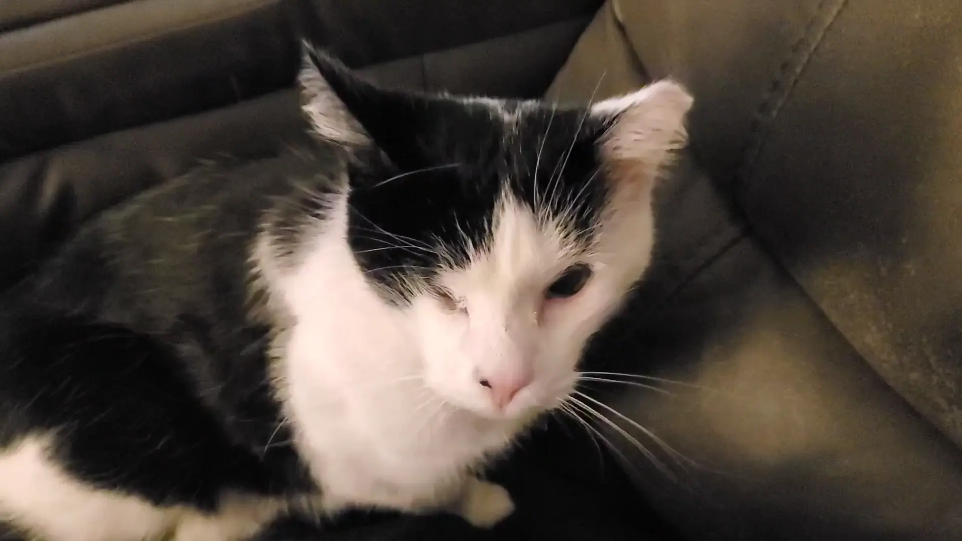 POV: receiving poor depth perception tap from Lt Cmdr Data