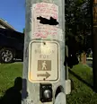 Prank or real life neck beard