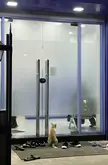 Preggo cat does door duty
