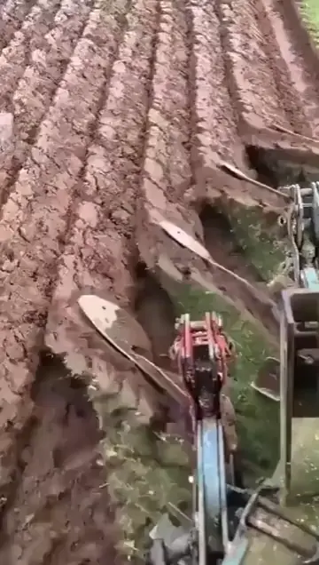 preparing the land