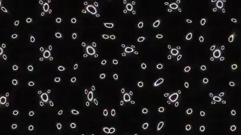 Procedural Loops