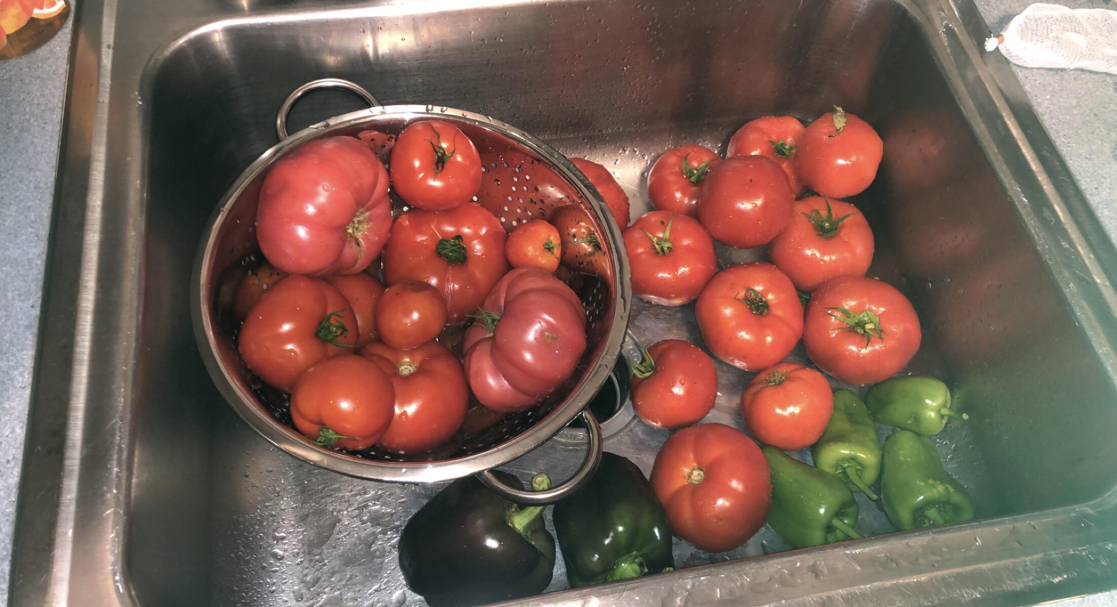 [homemade] tomato pasta sauce and basil pesto from our garden