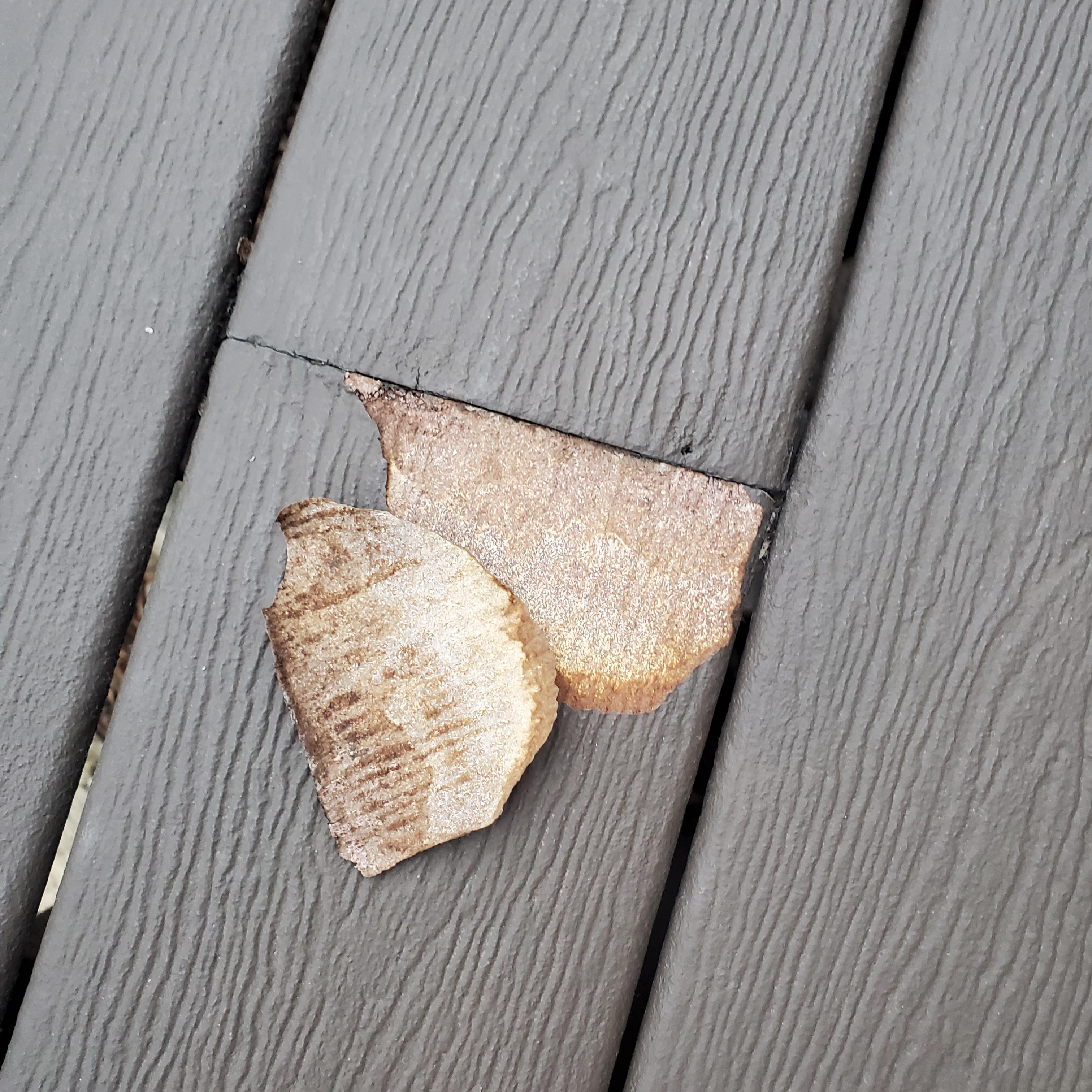 Does anyone know what type of material this is for our deck? I thought ...