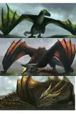 Ranking characters chances to claim a dragon (Spoilers twow)