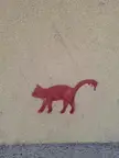 Red cat walking 