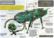 Redan's Cutaway of The Sidewinder from episode 2;Pit of Peril