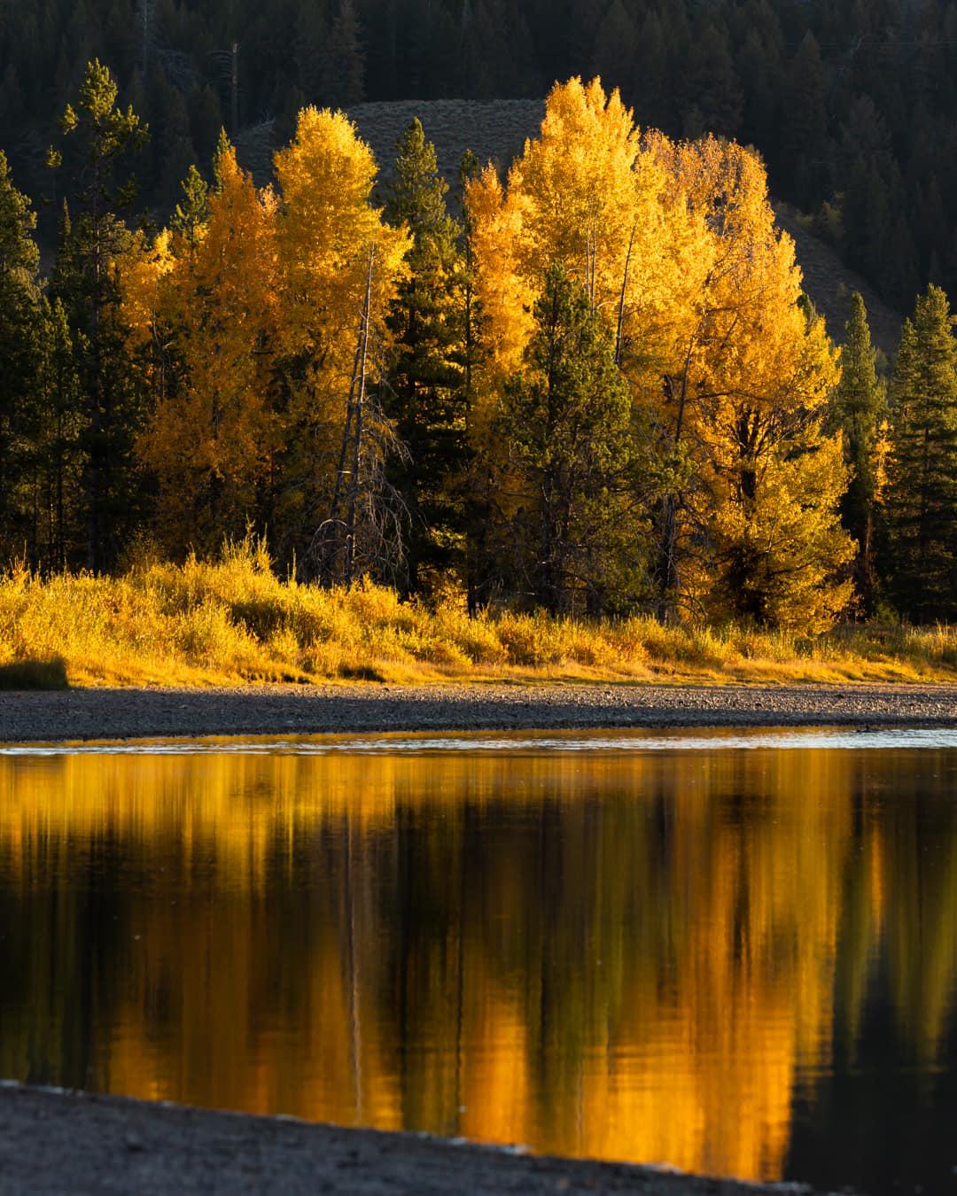Fall