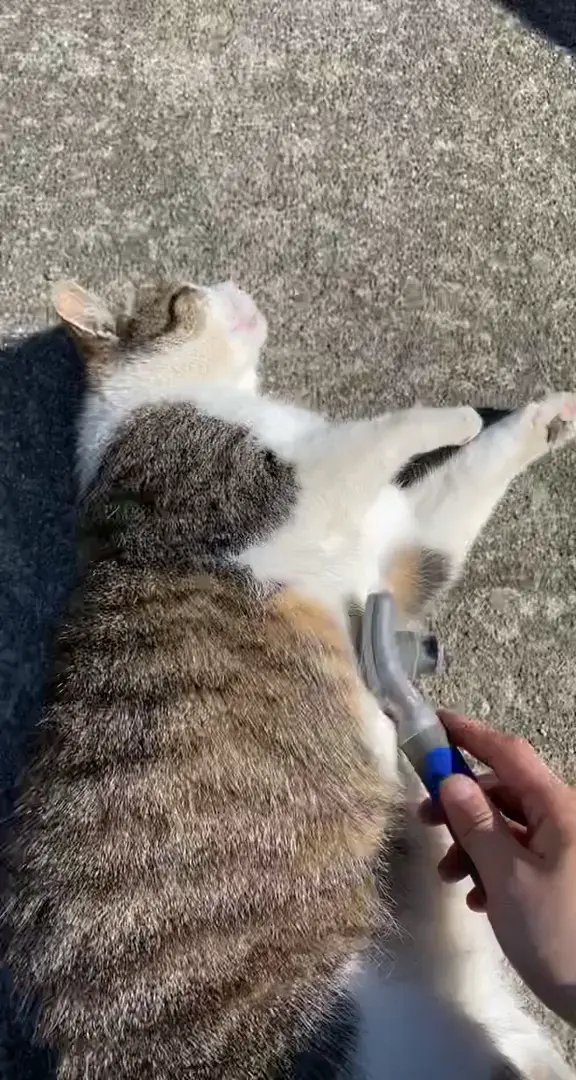 relaxed state of mind