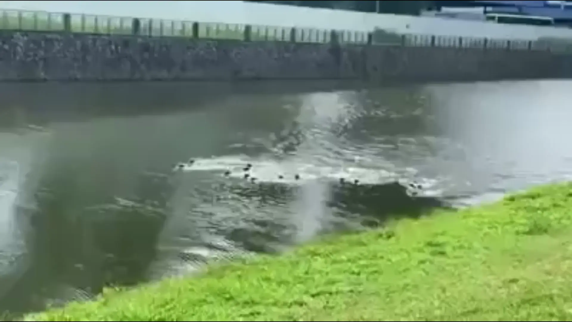 Return of the Otter: The Battle of Kallang Basin
