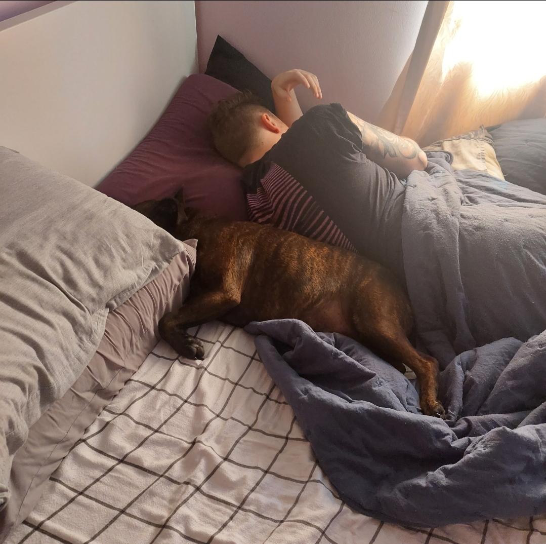 My English Staffy and my boyfriend 😂 I'm silently jealous because my dog NEVER gets on the bed for me 🥲