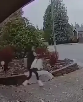 Robbery Failed, Robber Tries to Run, Robber Gets Caught