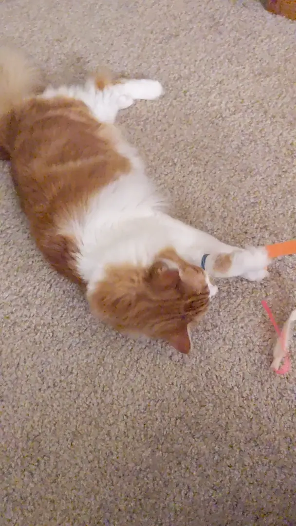 Rolled too much 🙀