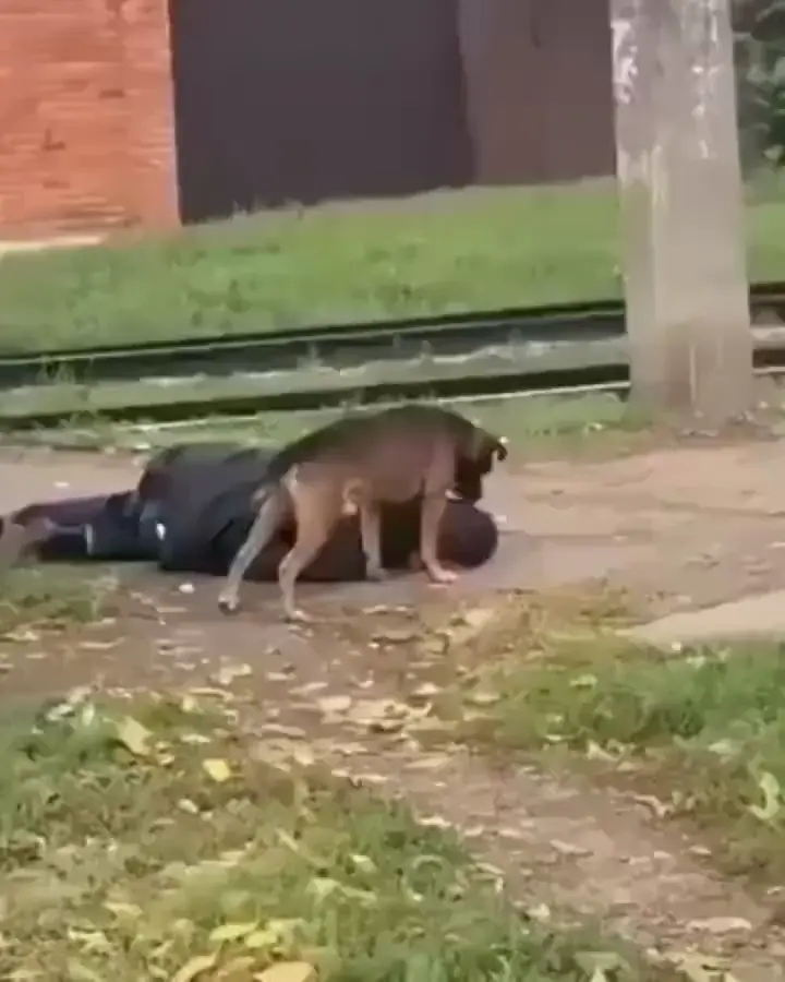 Russian Doggy Style