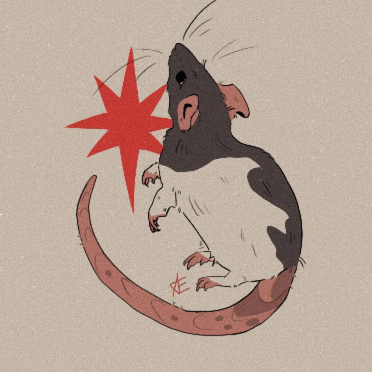 Discover more like RATS: How to care for and make a Lone rat happy? and ...