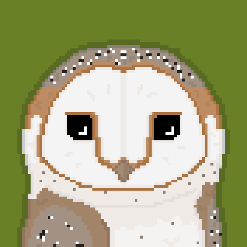 Barn Owl Pixel Art by 0wlyn | Scrolller
