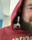 Safe and warm curled up in my Hoodie.