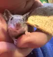Saturday Snack Time With Freckles!