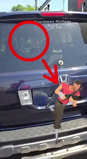 Scout breaks your car window (real)